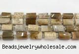 CTB890 15.5 inches 13*25mm - 14*19mm faceted tube fossil coral beads
