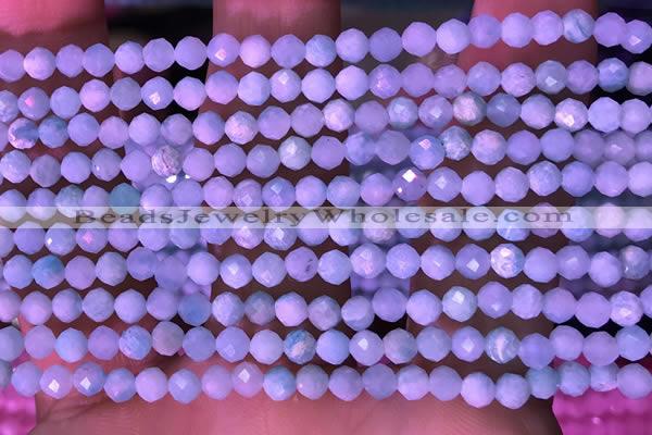CTG1626 15.5 inches 3.5mm faceted round tiny amazonite beads