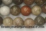 CWJ575 15.5 inches 6mm round wood jasper beads wholesale