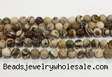 CZJ424 15.5 inches 12mm round Australian zebra jasper beads wholesale