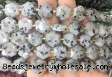HABS26 15 inches 12mm faceted hexagon sesame Jasper beads wholesale