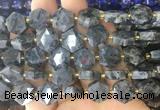 HABS29 15 inches 12mm faceted hexagon black labradorite beads wholesale