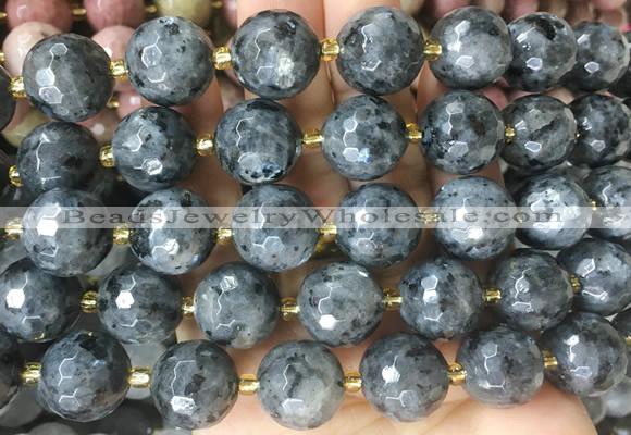 LSBS14 15 inches 16mm faceted round black labradorite beads wholesale