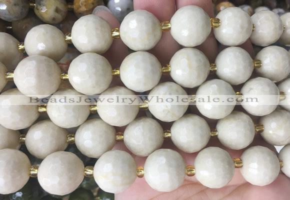 LSBS19 15 inches 16mm faceted round white fossil jasper beads wholesale