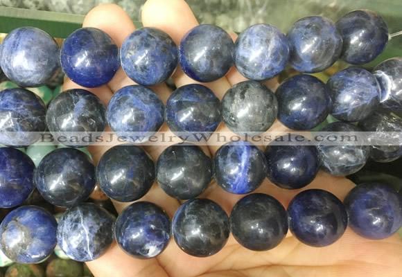 LSBS47 15 inches 16mm round sodalite gemstone beads wholesale