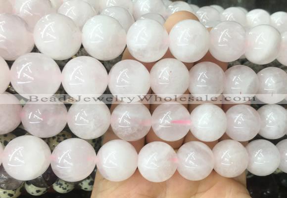 LSBS49 15 inches 16mm round rose quartz gemstone beads wholesale