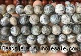 LSBS979 15 inches 16mm round sodalite gemstone beads wholesale