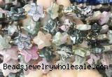 RGBS70 15 inches 14mm faceted star black veined rhodonite beads wholesale