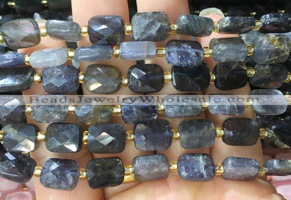 RTBS11 15 inches 8*10mm faceted rectangle iolite beads wholesale