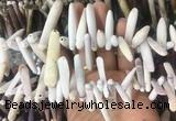 TDBS02 Top drilled 6*20mm - 8*55mm sticks sea urchin shell beads wholesale TDBS02 Top drilled 6*20mm - 8*55mm sticks sea urchin shell beads wholesale